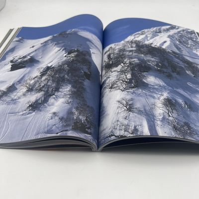 Photo Hardcover Art Book Printing With Paper Cover CMYK / Pantone Color