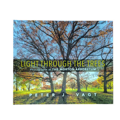 Light Through The Trees  Full Color Glossy Lamination Coffee Table Book Professional Photo Printing Service