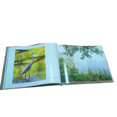 Light Through The Trees  Full Color Glossy Lamination Coffee Table Book Professional Photo Printing Service