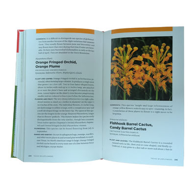 Custom Catalog Printing With Lamination Finish