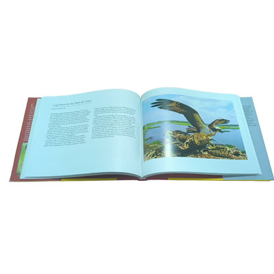 Journal of Light Professional Coffee Table Book Printing Service with Matte Laminated Jackets and Hardcover Binding
