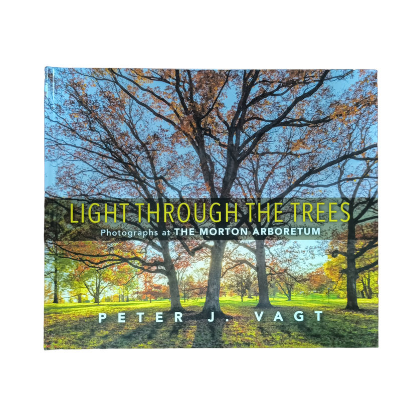 Light Through The Trees  Full Color Glossy Lamination Coffee Table Book Professional Photo Printing Service